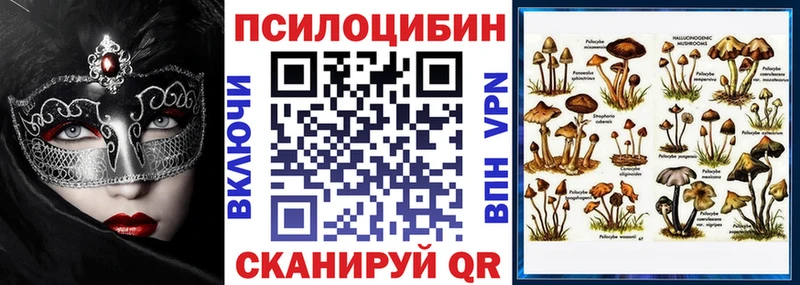 купить наркоту  Гаврилов Посад  Псилоцибиновые грибы ЛСД 