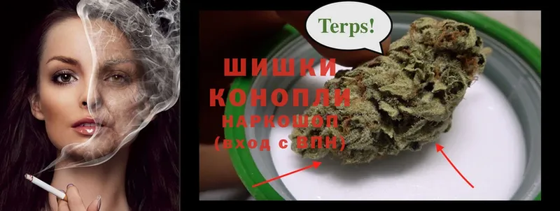 где можно купить   Гаврилов Посад  Каннабис Bruce Banner 